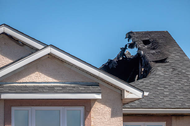 Top rated local Board Up Services specialists in Nerstrand, MN